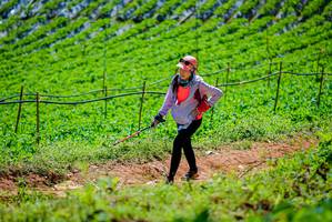 BIB: 
                            <button type="button" onclick="openModal(19164209)" class="btn btn-primary btn-sm float-right btn-popup" data-toggle="modal" data-target=".modal-high-quality">
                        <i class="fas fa-shopping-cart"></i> Add to Cart
                    </button>
                                            <button type="button" onclick="isThisMe(19164209, true)" class="btn btn-success btn-sm float-right btn-popup btn-isme hidden" data-toggle="tooltip" data-placement="bottom" title="นี่คือรูปของคุณใช่ไหม คลิกที่นี่เพื่อเอาเข้าอัลบั้ม">
                        <i class="fas fa-plus"></i> Add to album
                    </button>
                    <button type="button" onclick="isThisMe(19164209, false)" class="btn btn-warning btn-sm float-right btn-popup btn-isnotme hidden">
                        <i class="fas fa-ban"></i> Remove from album
                    </button>